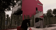 frida kahlo mexico GIF