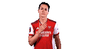 Celebrate Come On Sticker by Arsenal
