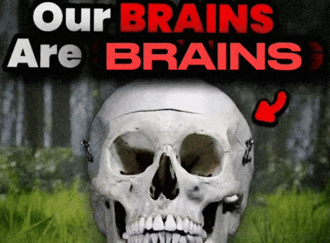 Our Brains GIF