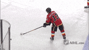 Ice Hockey GIF by NHL
