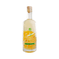 rhumarrangesymbiose boisson rhum riderwebdesign arrange Sticker