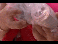 Telenovela GIF