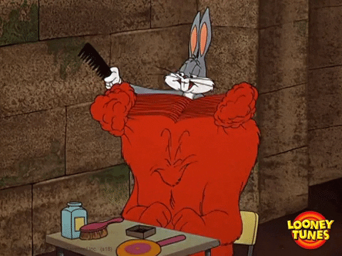 bugs bunny beauty GIF by Looney Tunes
