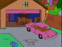 homer simpson GIF