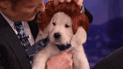 Conan Obrien GIF by Team Coco