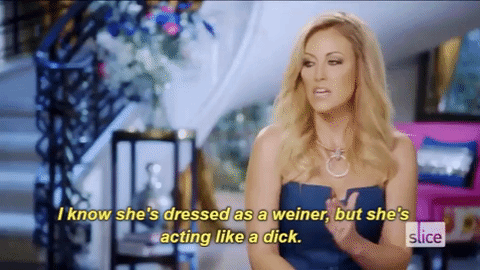 slice giphygifmaker real housewives housewives rhod GIF