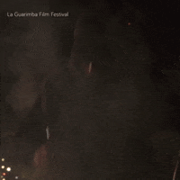 New Year Party GIF by La Guarimba Film Festival