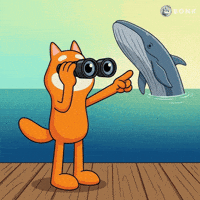 Excited Ocean GIF by BONK