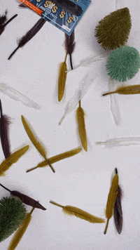 Birds Od Pay GIF by Idaho Lottery