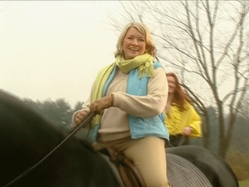 martha stewart swoon GIF by Team Coco