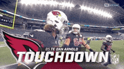 Arizona Cardinals Football GIF by NFL