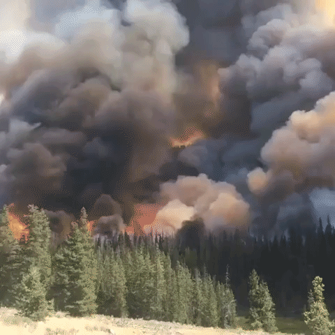 Firefighter Captures Close-Up View of Massive Cliff Creek Fire