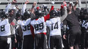 football GIF by Ottawa REDBLACKS