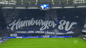 GIF by FOX Sports