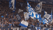 Football Soccer GIF by FC Schalke 04