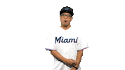 fun baseball Sticker by Miami Marlins