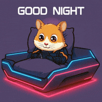 Good Night GIF by Hamieverse