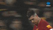 GIF by MolaTV