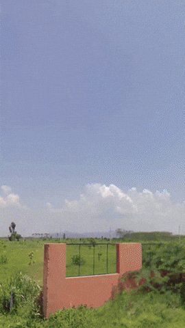 Simongip giphyupload GIF