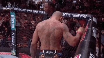 Mixed Martial Arts Sport GIF by UFC
