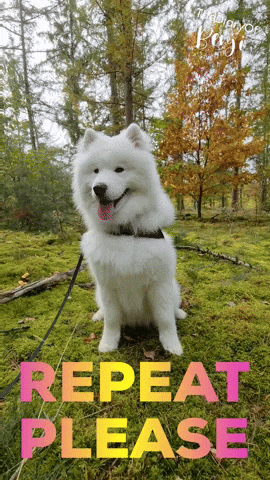Dogs Please GIF