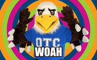 Eagle Ozzy GIF by Ozarks Technical Community College