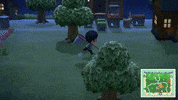Animal Crossing Nintendo GIF