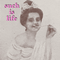 Cest La Vie Banq GIF