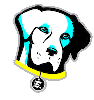 Graduation Graduate Sticker by AmericanPublicUniversity