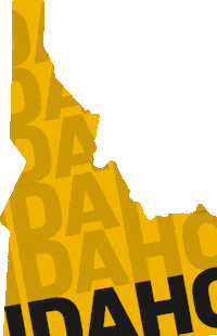 U Of I Gold Sticker by University of Idaho