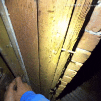Found Footage Film GIF by Arrow Video