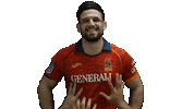 Fer Leones Sticker by FERugby