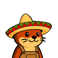 Ola Hello Sticker by Built Daily