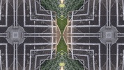 Art Film GIF by jorgemariozuleta