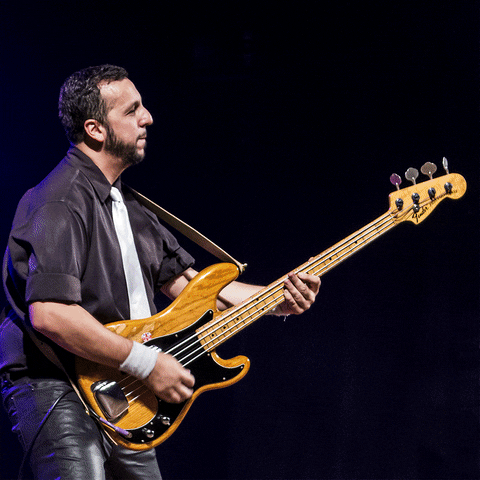 classicalqueen queen classical baixo john deacon GIF