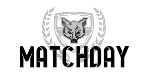 Matchday Sticker by Fichtenfuechse