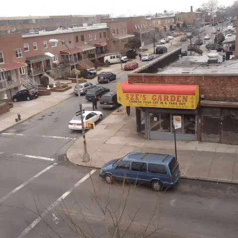 nyc brooklyn GIF by Tyler Menzel, GIPHY Editorial Director