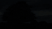 Music Video Chill GIF