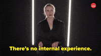 There's No Internal Experience 