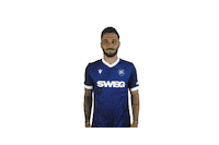 Soccer Goal Sticker by Karlsruher SC