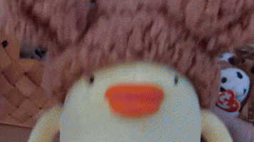 chick people PIYO FOX dance