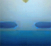 animation images GIF by Ryan Seslow