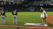 hou GIF by MLB