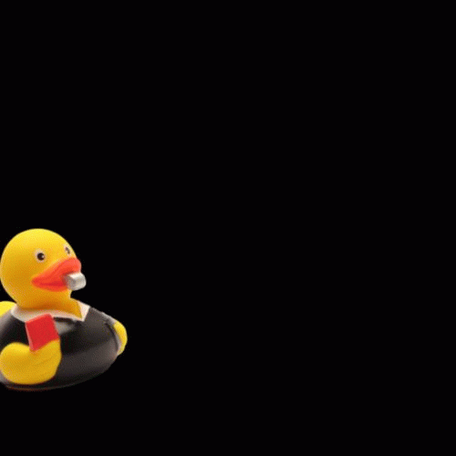 Duckshop fussball schiedsrichter rubber duck rubber ducky GIF