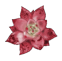 Chelcieelise pink sticker red green Sticker