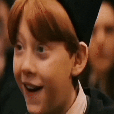 camileta13244  GIF