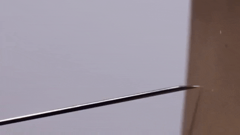 alegalazb giphygifmaker GIF