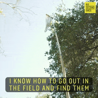 Searching Looking For GIF by 60 Second Docs