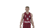 Lets Go Auf Gehts Sticker by FC Bayern Basketball