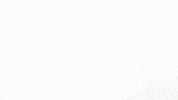 Uf Ufcoe GIF by University of Florida College of Education